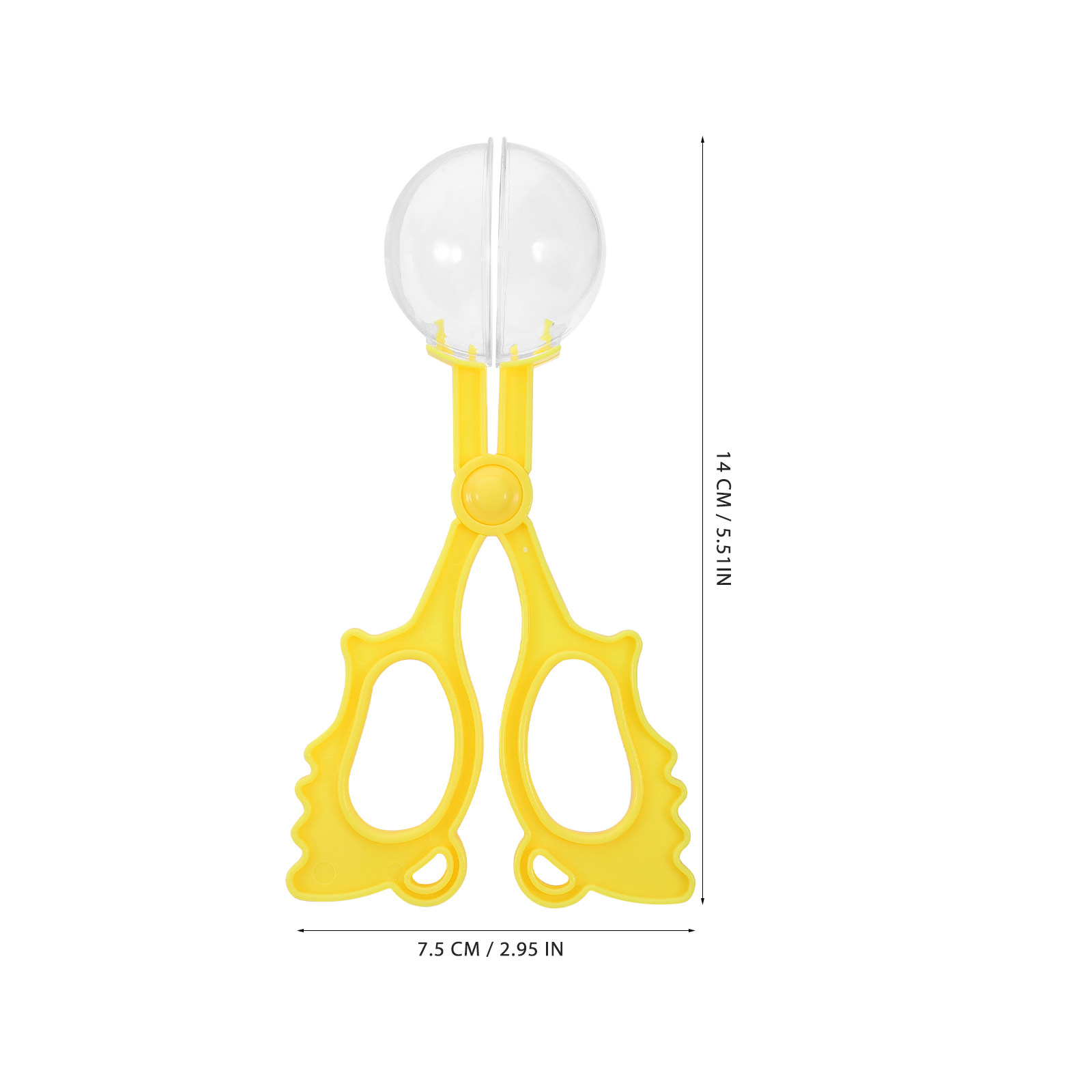 5개입 다양한 색상의 곤충 포획 가위 클램프, 어린이  - Kids Outdoor Tools 리뷰 및 가격