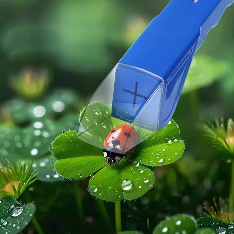 어린이 곤충 채집 상자 확대경 곤충 관찰기 야외 자연  - Kids Outdoor Nature Toys 리뷰 및 가격